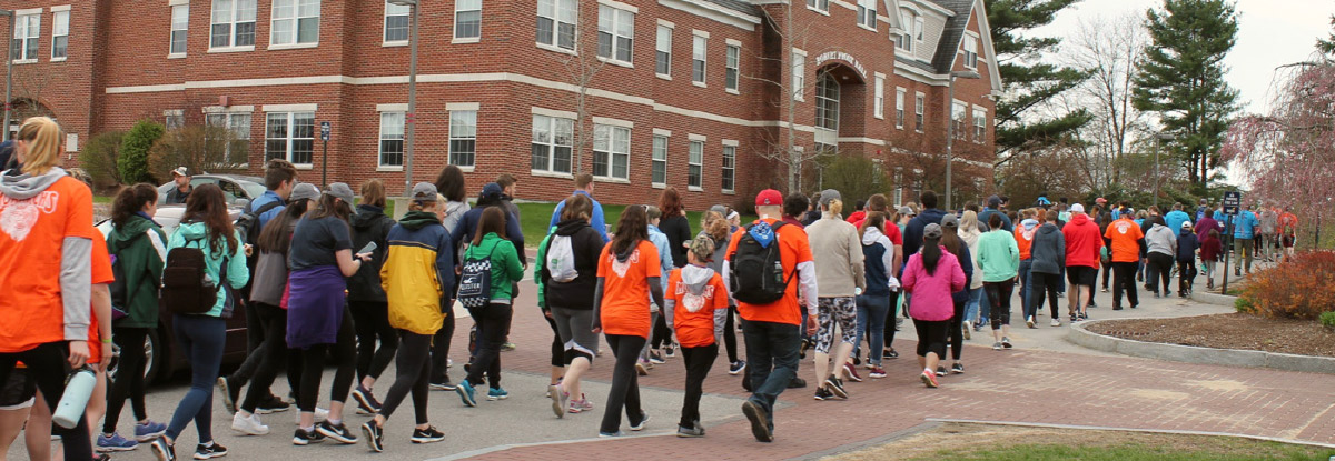 large crowd of volunteers walking down city street